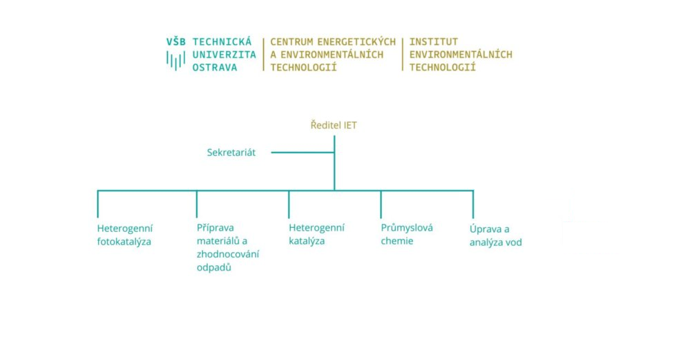 Organizační struktura