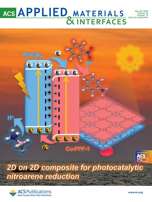 ACS Applied Materials & Interfaces