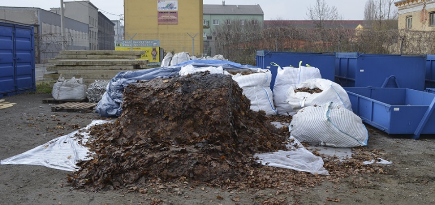 Processing of biodegradable waste