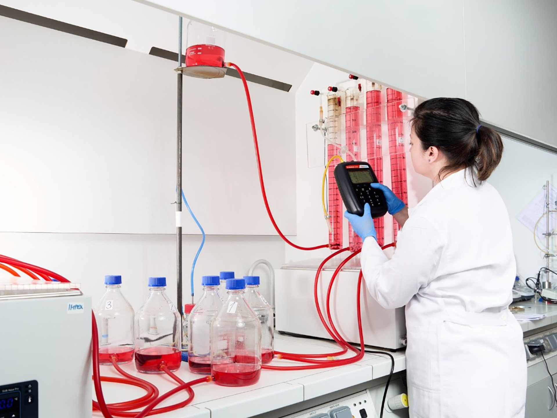 Biochemické procesy