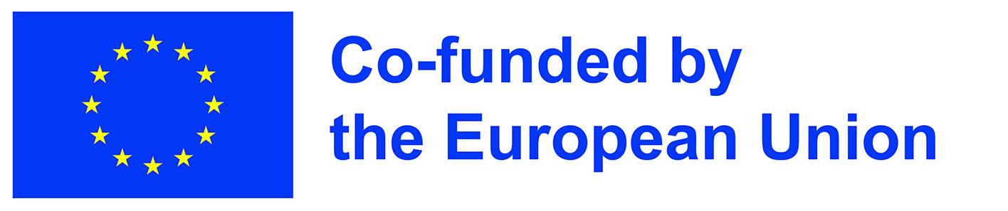 EN Co-funded by the EU_POS small