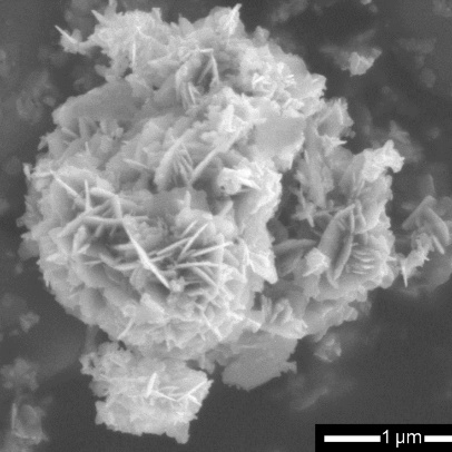 Scanning electron microscope image of nanostructured ZnO, which exhibits strong photocatalytic activity due to its large surface area.