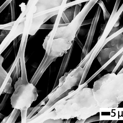Kaolinite particles incorporated into electrospun polyurethane.