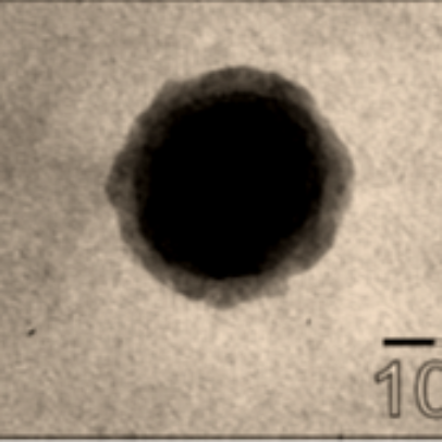 Core-shell nanoparticle SiO2/ZnO precipitated on indium photocathode.