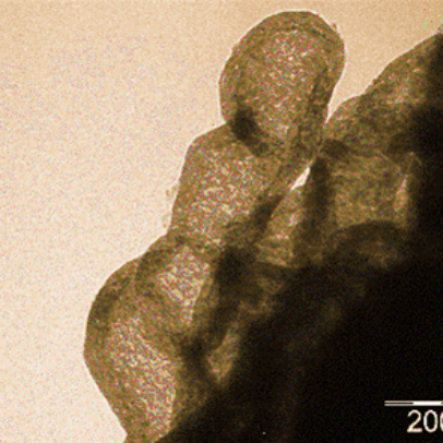 Nanoparticles Ag on a lamellar aggregate.