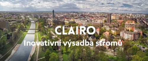 banner-nl-clairo banner-nl-clairo